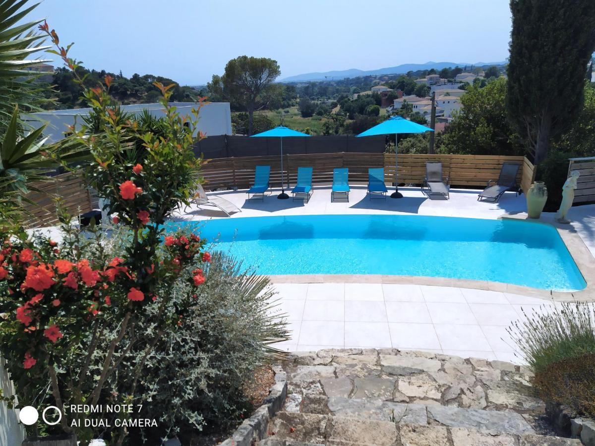 Mimosas - * Frejus