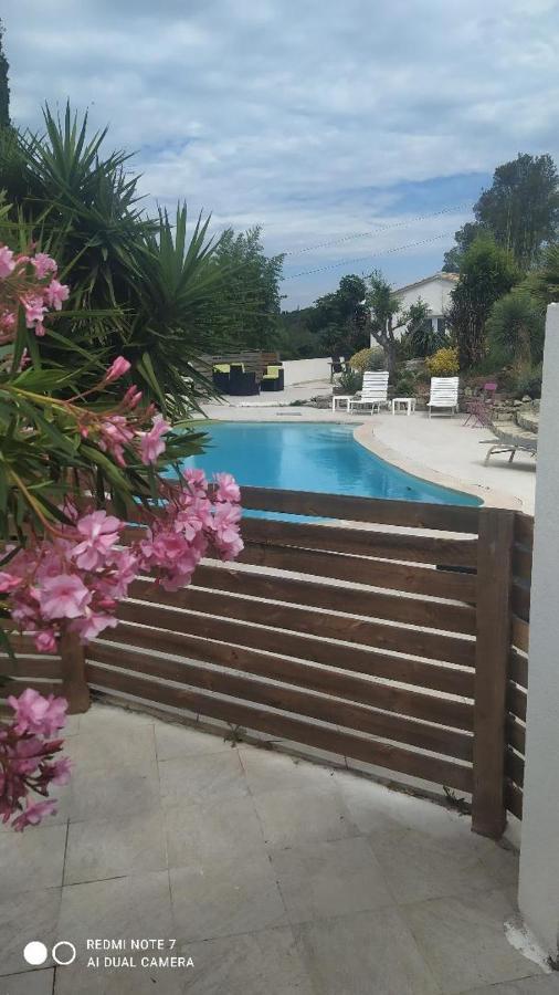 Mimosas - Frejus